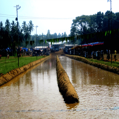 Kambala Festival Sight Seeing Tour